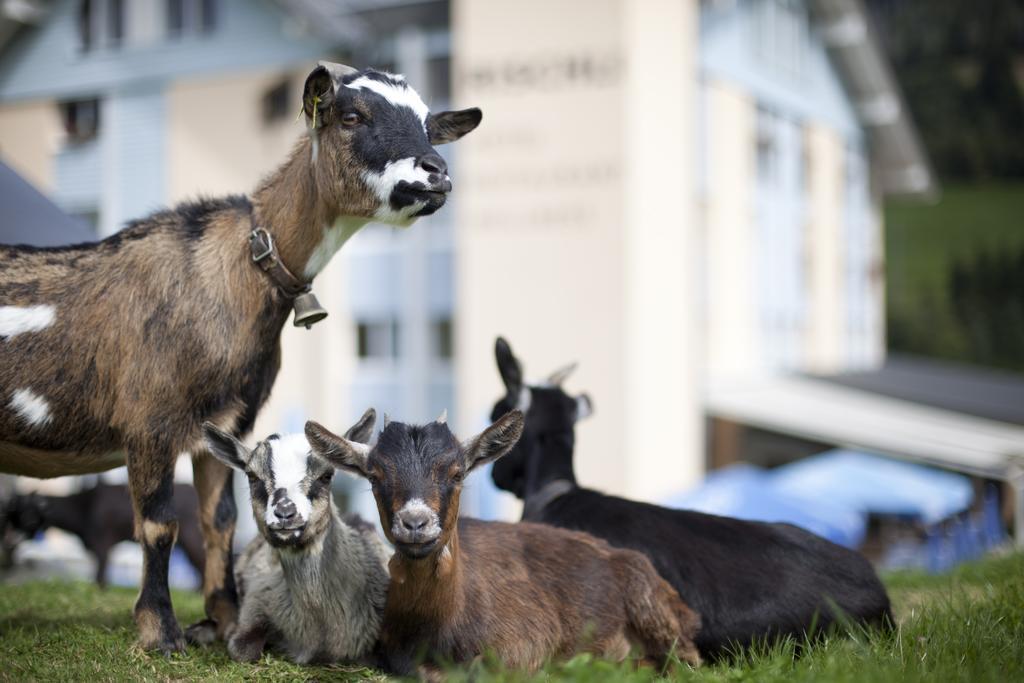 Hotel Rischli Sorenberg Bagian luar foto