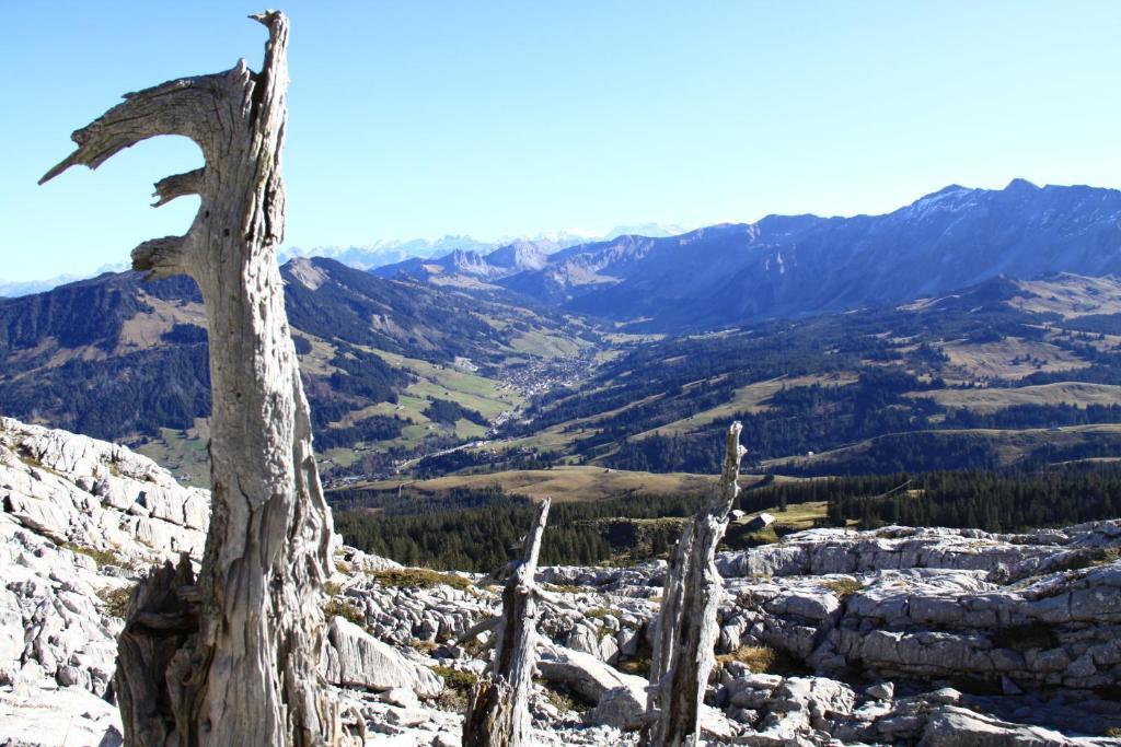 Hotel Rischli Sorenberg Bagian luar foto